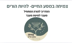 מעבר ממיטת תינוק למיטת מעבר/נוער