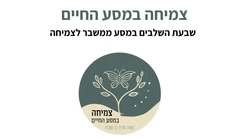 שבעת השלבים ממשבר לצמיחה